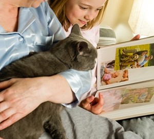 Real estate website Movoto says Sacramento is one of 10 best cities for cat lovers.