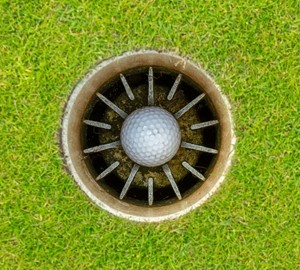 The Sacramento area's many golfing amenities appeal to fans of the sport.